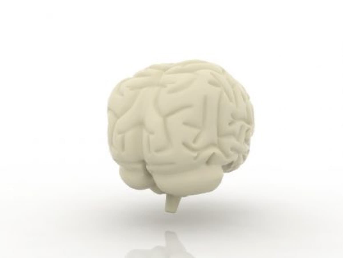 1721467065638.jpg