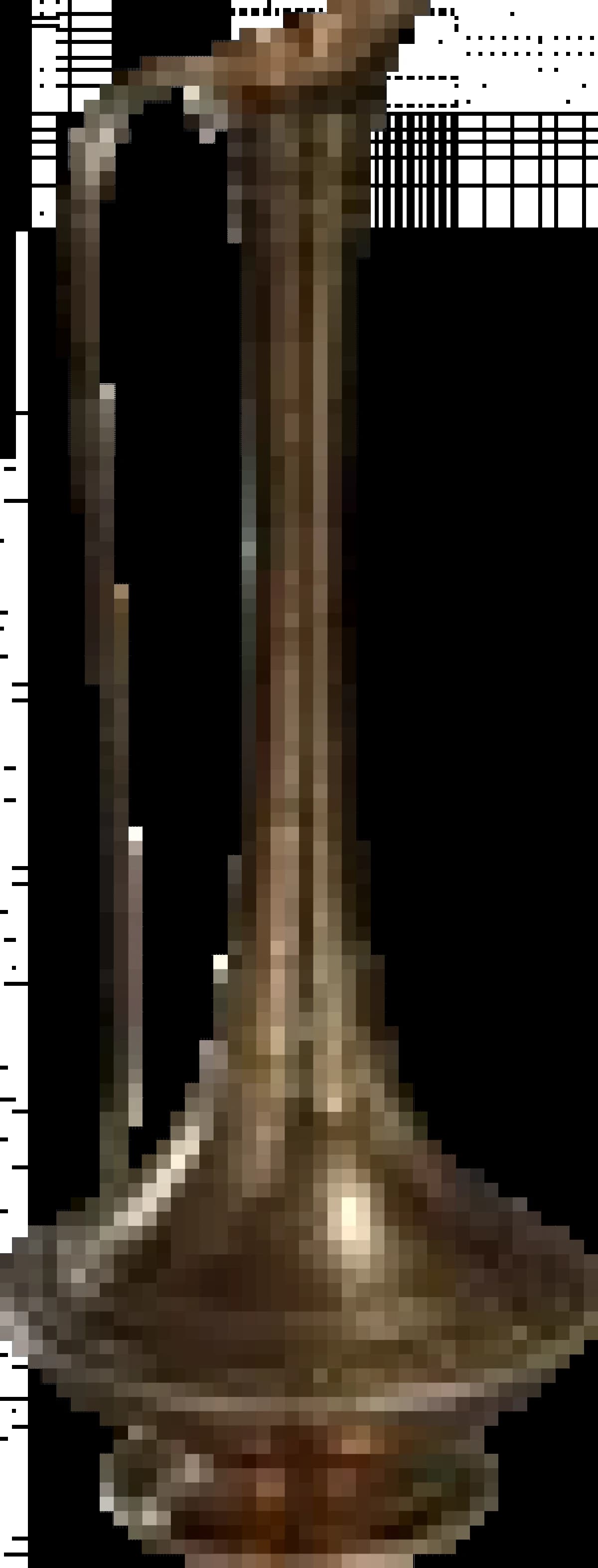 1722508258577.webp